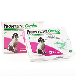 FRONTLINE COM