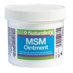 MSM OINTMENT 