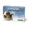 CAPSTAR 11.4 